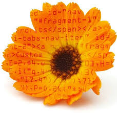 5,055 likes · 8 talking about this · 1,935 were here. Valley Forge Flowers Home Facebook