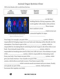 Animal Organ Systems Cloze