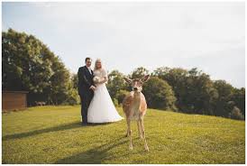 Hochzeit Von Nina Und Thomas Fotografie Kirchliche Hochzeit Und Brautpaar