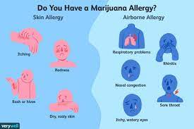 Weed Allergy Symptoms And Treatment