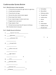 Image result for Cardiovascular Worksheets