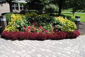We did not find results for: D N Landscape Maintenance Professional And Affordable Landscape Maintenance And Snow Removal