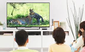 感動と興奮の ドキュメンタリーを堪能しよう！ 11