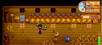 Help Glitch Where My Chickens Aren T Being Fed But I Can T Add Any More Hay To Trays Stardewvalley