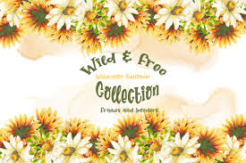 Download Hand Painted Sunflower Frames And Borders In Illustrations On Yellow Images Creative Store PSD Mockup Templates