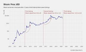 Bitcoin is an asymmetric bet. Bitcoin Halving What You Need To Know