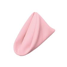 La Linen 18 In X 18 In Light Pink Polyester Poplin Napkin 10 Pack 1818pop Pk10 Pinklgtp37 The Home Depot
