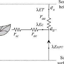 Schematic View Of Bubbler Irrigation System Distribution Of Download Scientific Diagram