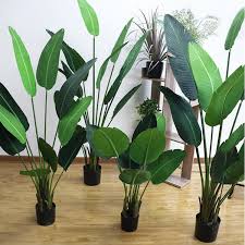 Artificial banana tree plant 160cm. 1 2m 1 5m 1 8m Real Touch Plastic Travaler Banana Tree Artificial Skybird Tree Indoor Buy Indoor Home Traveler Green Plant Potted Decoration Plastic Banana Artificial Tree Hot Artificial Plant Tree Artificial Green Banana Tree For Home