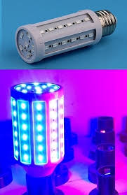 Red and blue grow lights. Led Plant Grow Lights Led Light Bulbs 12v Car Led 24v Marine Led 120 277v Led Bulb