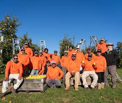 Hollabaugh Bros., Inc.