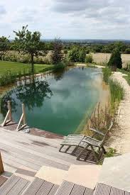 Pin By Tara Conway On Pool In 2020 Natural Swimming Ponds Natural Pond Pond Design
