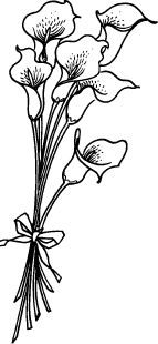 Calla Lily With Ribbon K 134 Lilies Drawing Flower Drawing Calla Lily