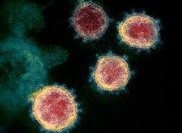 An official website of the national institutes of health. The Disease On Every Traveller S Mind Covid 19 Iamat