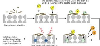 Who hasn't heard of heavy metal poisoning, especially after the flint water crisis? Heavy Metals In Water Presence Removal And Safety Johnson Matthey Technology Review