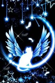 Want To Paint Something Like This Cat Art Cat Artwork Angel Cat