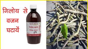 Giloy Benefits For Weight Loss Weightlosslook
