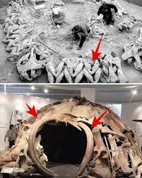 18,000-Year-Old Circular Dwellings Made of Mammoth Bones Unearthed in  Ukraine