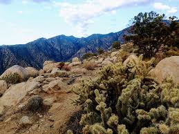 In this episode of modern skyblock 3 departed we get to work progressing through sky resources 2. Cactus To Clouds Hiking Guide Must Know Safety Info Exploring Wild