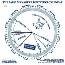 Goat Gestation Calendar Calculate Birth Breeding Conception Birthing Date Ebay