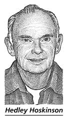 In Tasmanian Forests, A Battle Breaks Out Over Bees and Trees