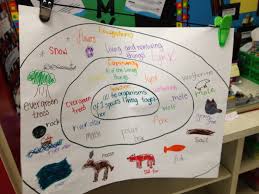 Ecosystems Chart Have Students Work On These In Groups