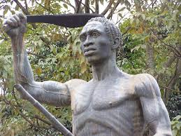 Image result for Bersama yangambiensis