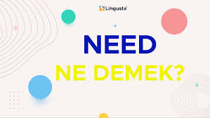 Bunun ne demek olduğunu biliyor musun? Need Ne Demek Need Kelimesi Turkce Anlamlari Ve Ornek Kullanimlari