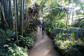 Schmetterlingsausstellung Im Botanischen Garten Nymphenburg Kimapa Kids On Tour Kimapa