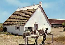 Les Cabanes De Cacharel Aux Saintes Maries De La Mer Camargue Christian Lassure Camargue Sainte Marie Taureau Camargue