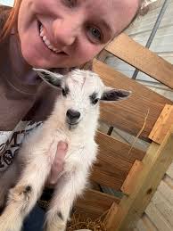 Holly gave birth to the CUTEST calf this past weekend! Make sure you stop  by her pasture and Hi this spring when visiting the greenhouse!