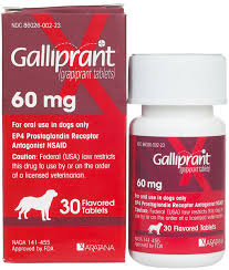 galliprant for dogs 20 mg 30 ct pet health dogs arthritis