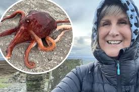 Death notices and funeral announcements in The Chronicle Newcastle from  November 18 to November 24