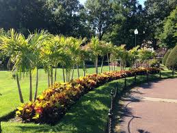 Josh Altidor Plants Boston Public Garden S Flower Beds With His Public Garden Garden Flower Beds Planting Flowers