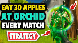 The more hype you earn, the further you progress in the arena divisions and leagues. Eat Apples Fortnite Best Strategy To Eat Apple In Fortnite Orchid Best Fortnite Apple Spots Youtube