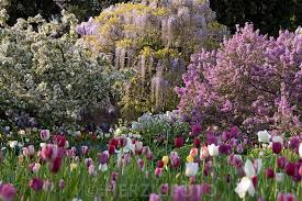Photo Hermannshof By Tina Horst Herzig Photography Spring Garden Photography Photo