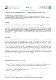 Image result for Gymnosporia maranguensis