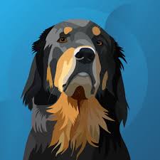 Dog Portrait Hovawart Dog Portraits Pet Portraits Dog Art