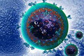 Wo kann man einen „aids test durchführen lassen? Welt Aids Tag Zehn Fakten Uber Den Aids Erreger Hiv Stern De