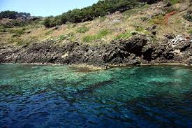 Bollettino emesso il 24 giugno ore 10:29 bollettino mari ustica. Ustica Island Pictures Photo Gallery Of Ustica Island High Quality Collection