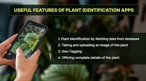 Plant Identifier App Development & Who can Leverage Its Applications