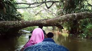 Lokasi rawa dano berada di kabupaten serang. Wisata Rawa Dano Serang 30 Tempat Wisata Di Banten Terbaik 2020 Yang Wajib Dikunjungi Ngunyah Asix Kuliner Gragas Pecak Bandeng Di Kota Serang Banten Scrapprojekt52