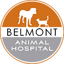 Comfortable spacious lobby at beach veterinary hospital on 4th street in retro row with convenient parking in long beach! Veterinarian In Nashville Near You Belmont Animal Hospital