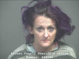 HALL, ALICIA CHANTE Charges: ARREST WARRANT SERVED FOR ANOTHER COUNTY This  information and more is available https://apps.myocv.com/share/a95737804