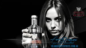 Island Coast Spirits Online Store