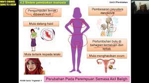 Check spelling or type a new query. 006 Sains Tg 1 Bab 4 Subtopik 4 2 Sistem Pembiakkan Manusia Bah 3 Youtube