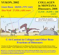 Carbon dating is used to determine the age of biological artifacts up to 50,000 years old. Carbon Dating Of Fossils