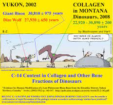 Radiocarbon dating is one of the most widely used scientific dating methods in archaeology and environmental science. Carbon Dating Of Fossils