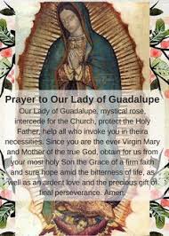 Our Lady Of Guadalupe Free Printable And Resources For Our Blessed Mother S Feast Day Activ Catholic Prayers Daily Catholic Prayer For Healing Prayers To Mary The feast in honor of our lady of guadalupe goes back to the sixteenth century. catholic prayers daily catholic prayer