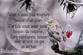 45 Recettes Vegan Saines Et Delicieuses Positivity App Positive Quotes